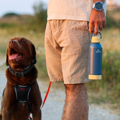 Igloo Hydrate Pro Termos 500ml-MAVİ